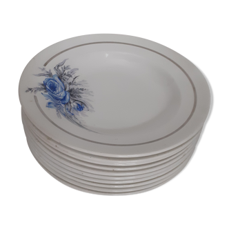 10 dessert plates. Sarreguemines. France. White background and blue flowers.