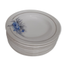 10 dessert plates. Sarreguemines. France. White background and blue flowers.