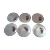 6 plates flat decorated fruit des bois arcopal france