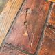 Coffee table herbarium solid oak and ceramic 1950