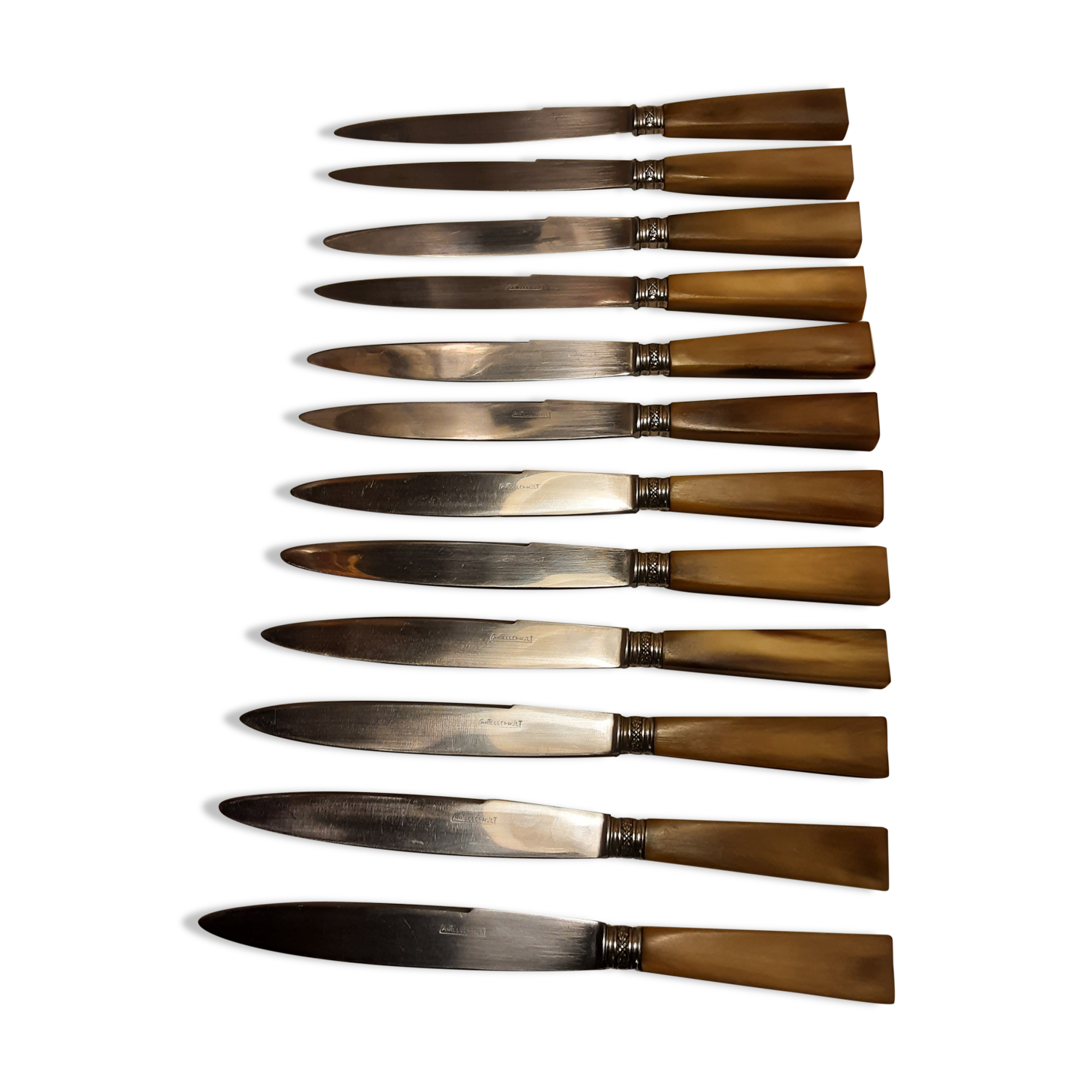 Hatch of 12 knives handle in horn and stainless steel blade