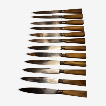 Hatch of 12 knives handle in horn and stainless steel blade