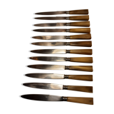 Hatch of 12 knives handle in horn and stainless steel blade