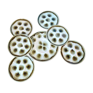 Service à huîtres moulin - loups