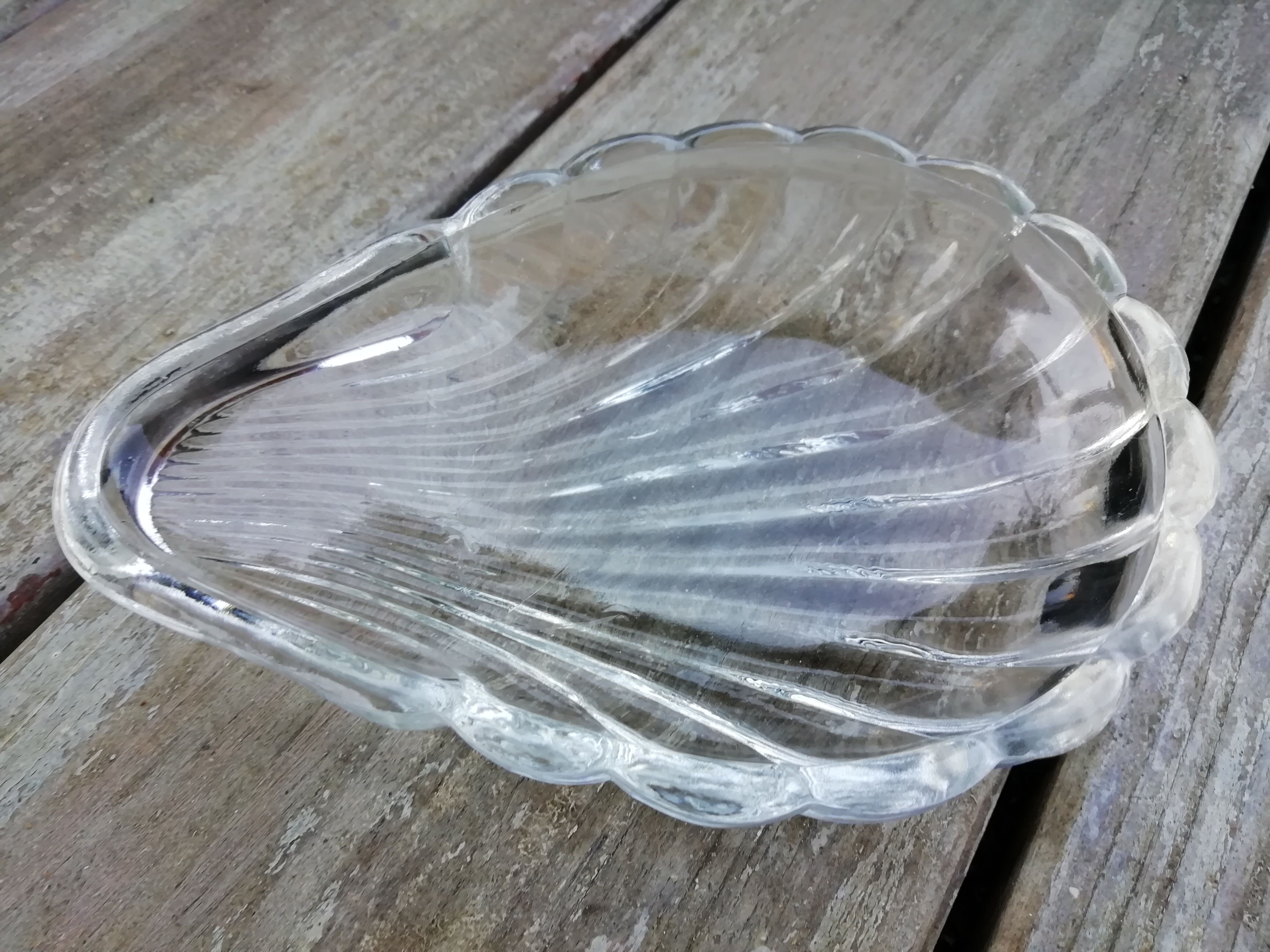 Coquille saint jacques