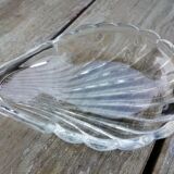 Scallop shell