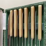 Set of 12 antique knives in green case