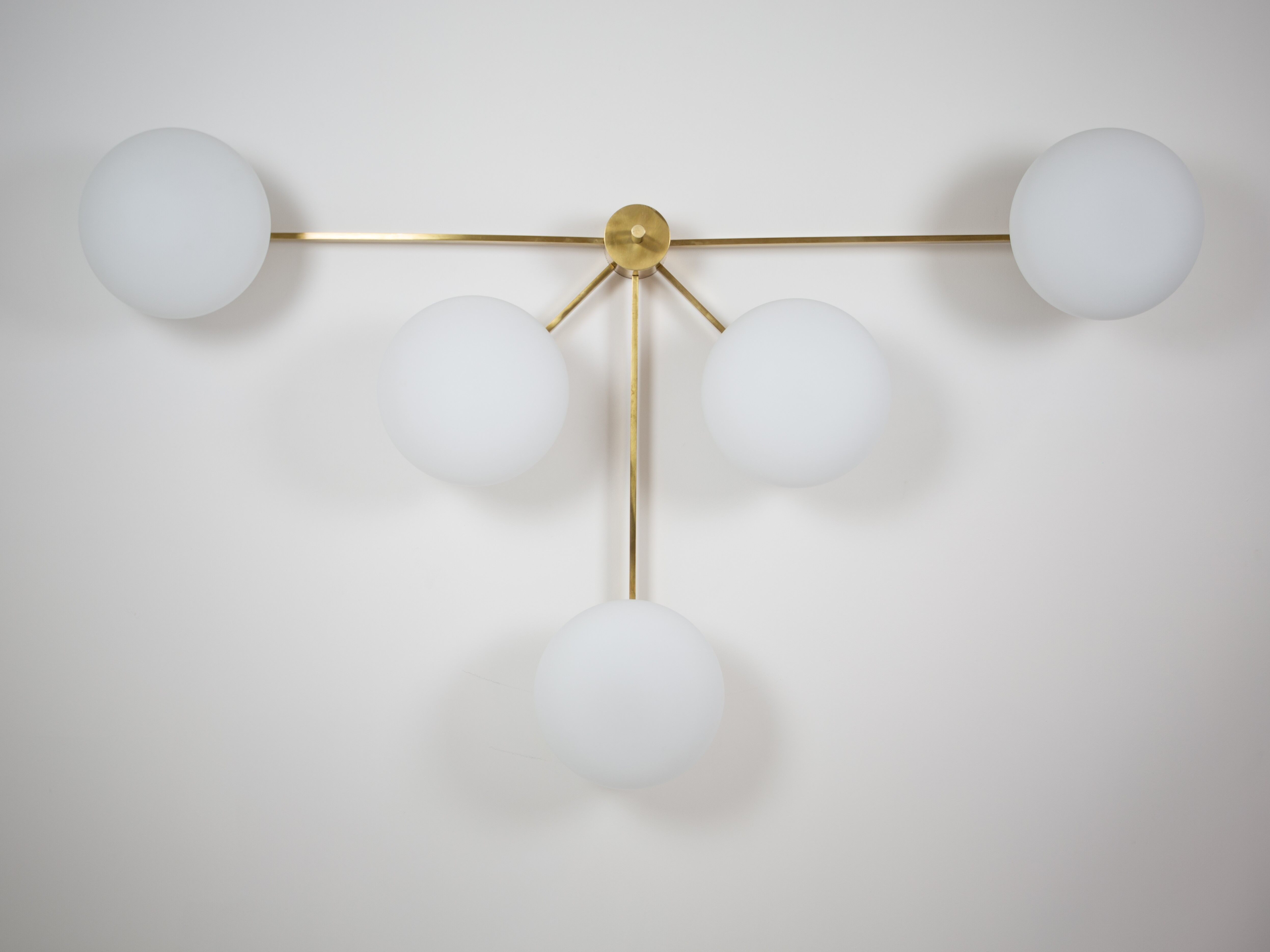 Fan stella collection