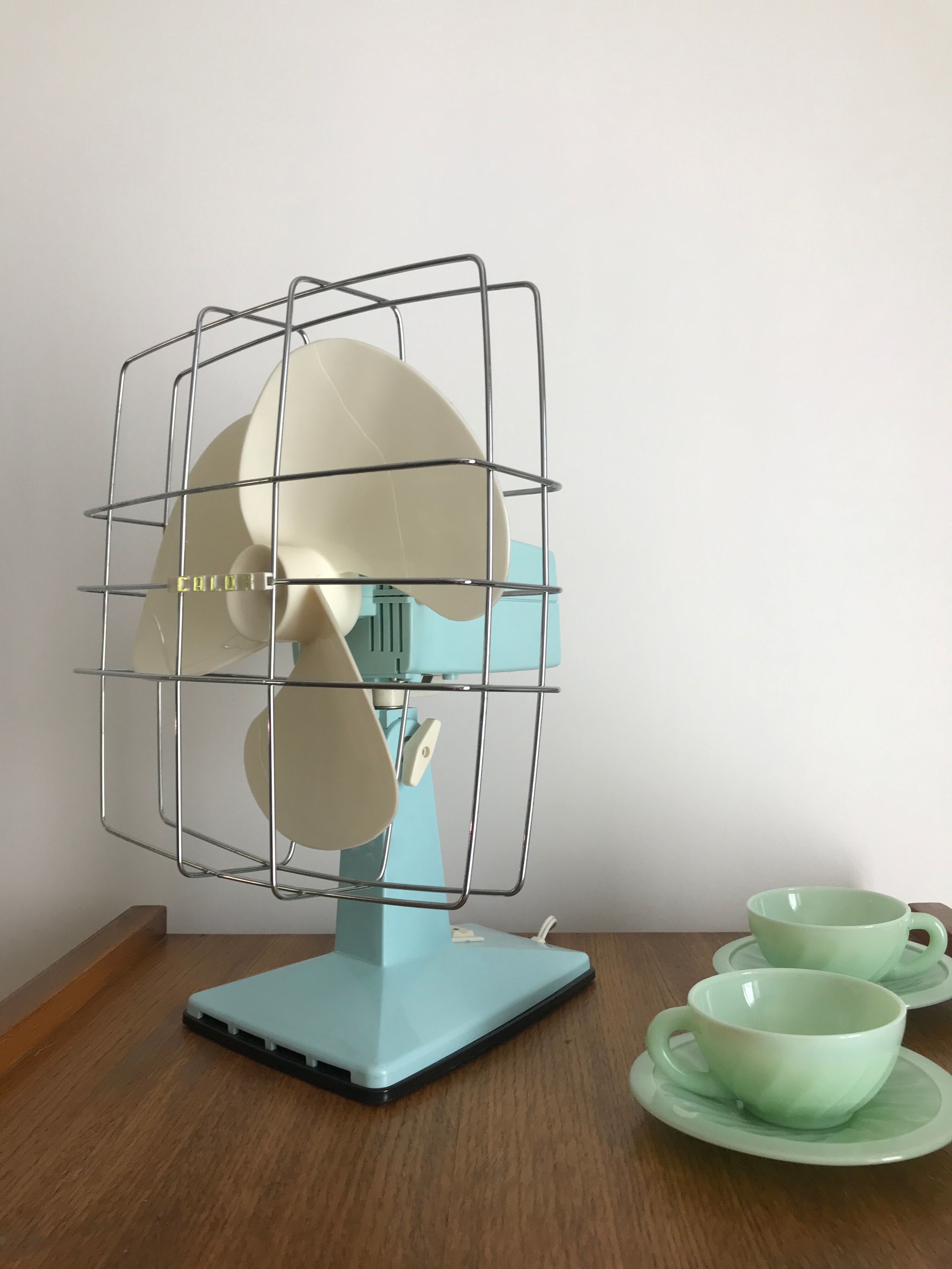 Vintage calor tilting fan mint