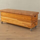 Unique Vaulting Box as Storage Cabinet and Bench