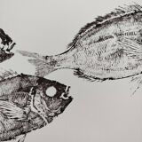 Framed art print, "Print of a school of sea bream" (gyotaku)