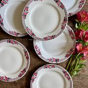 Set of 6 antique flat plates - Saint Amand Céranord