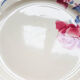 Lot de 4 assiettes plates "boulogne" Digoin Sarreguemines