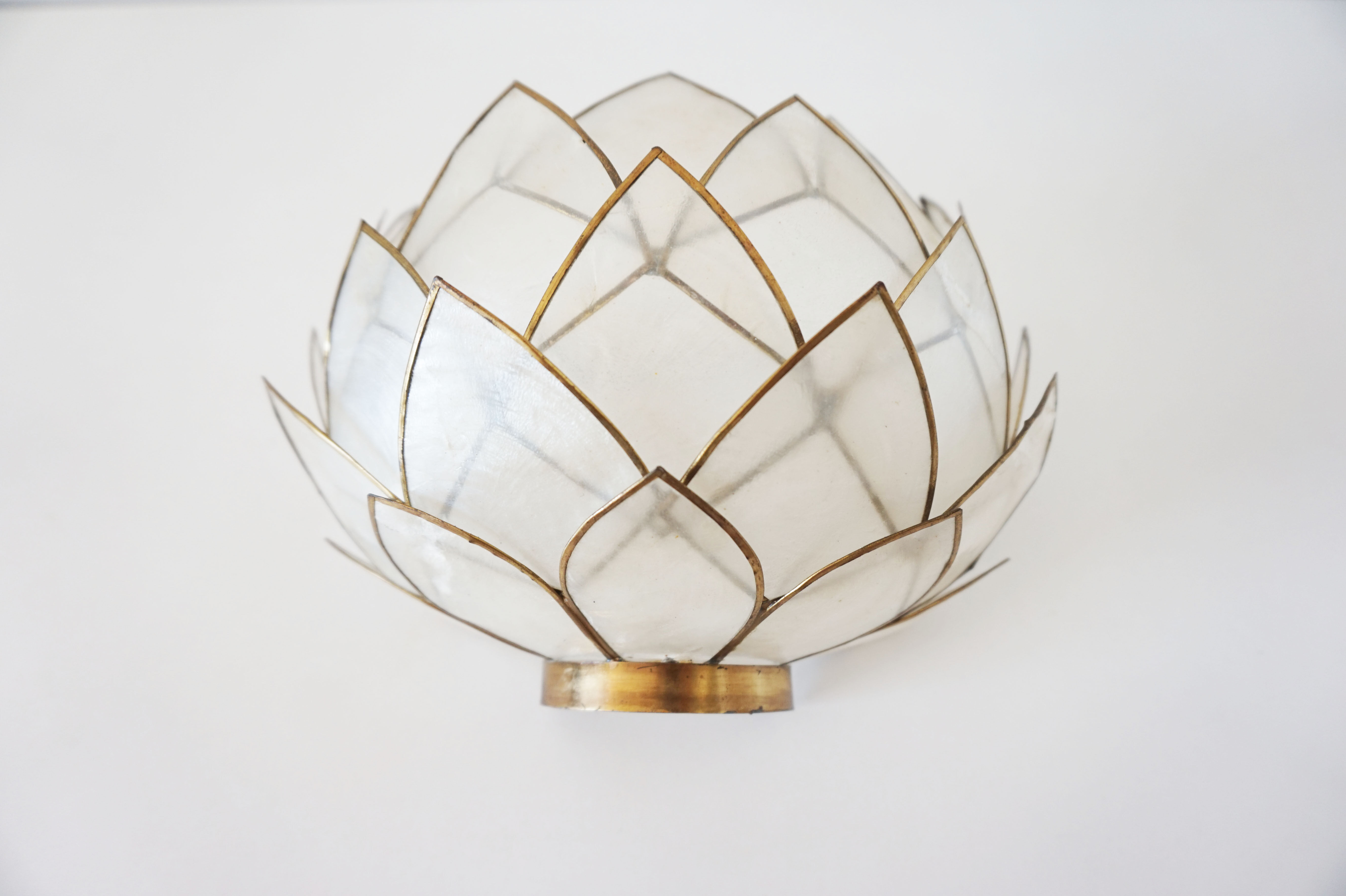 Vintage mother-of-pearl petals sconce