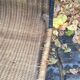Paire de chaises en osier début XX eme siècle