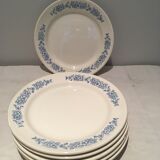 Set of 6 small white plates small blue flowers
