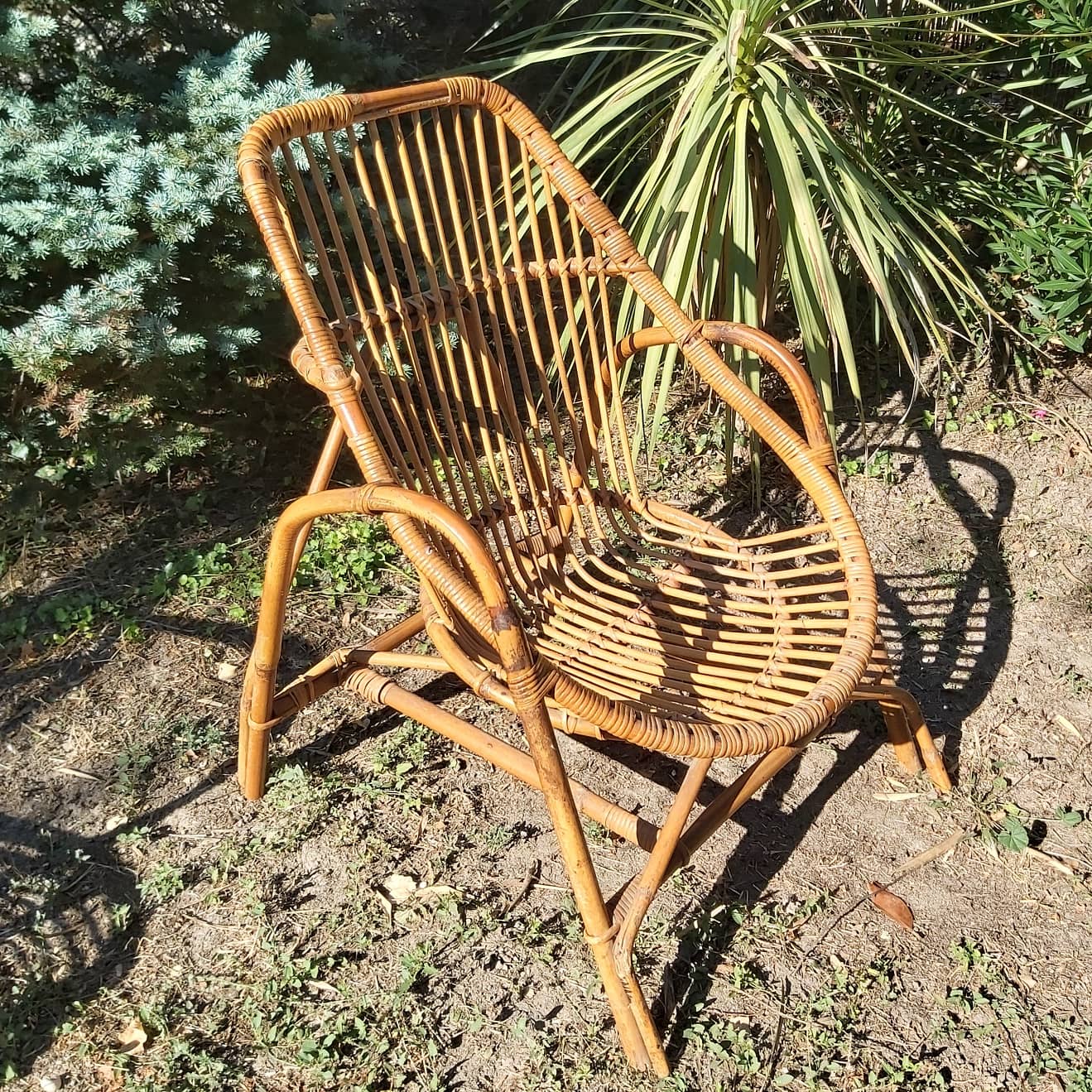 Vintage rattan armchair