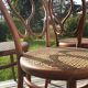 Série de 6 chaises Thonet N°20 Omega