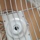 Metal chair by Gastone Rinaldi 1960 cushion piet mondrian very good and