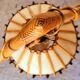 Lampadaire vintage Louis Sognot en rotin et bambou années 50 60