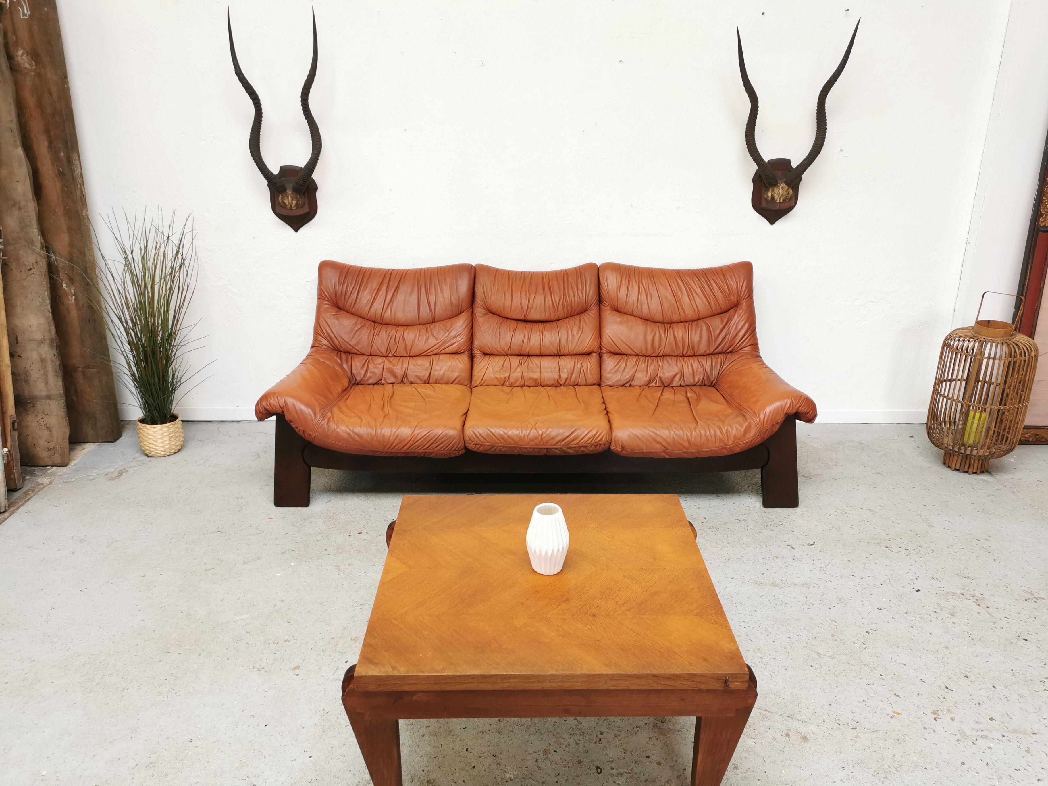 Pair of hunting trophy horn oryx antelope