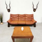 Pair of hunting trophy horn oryx antelope