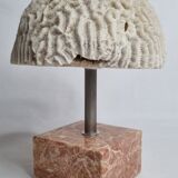 Ancient coral "brain" Diploria labyrinthiformis on base, 19 cm