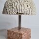 Ancient coral "brain" Diploria labyrinthiformis on base, 19 cm