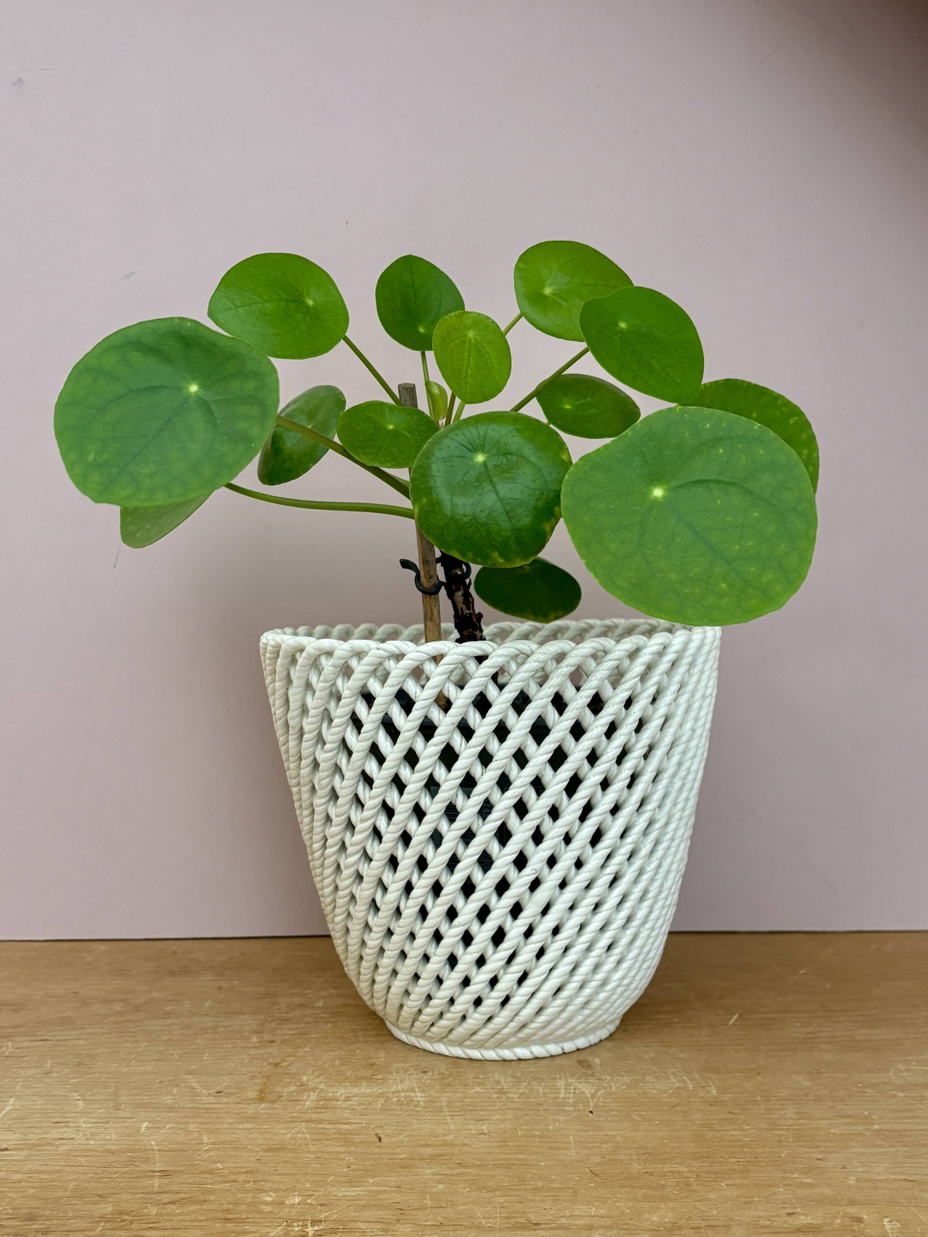 Vintage woven ceramic plant pot