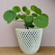 Vintage woven ceramic plant pot