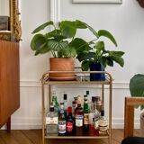 Serving unit with removable brass tray