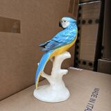 Parrot