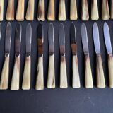 Box of 12 large and 12 small horn handle knives – Art Deco