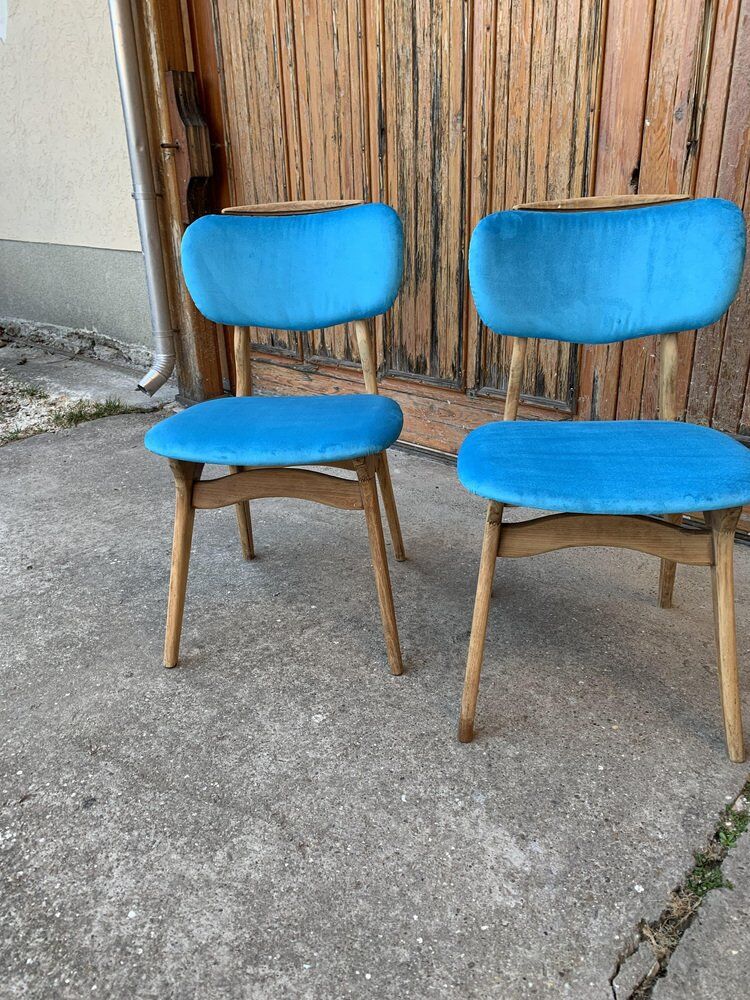 Mid-century hungarian chairs, 1960