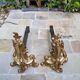 Pair of gilded bronze andirons Louis XV