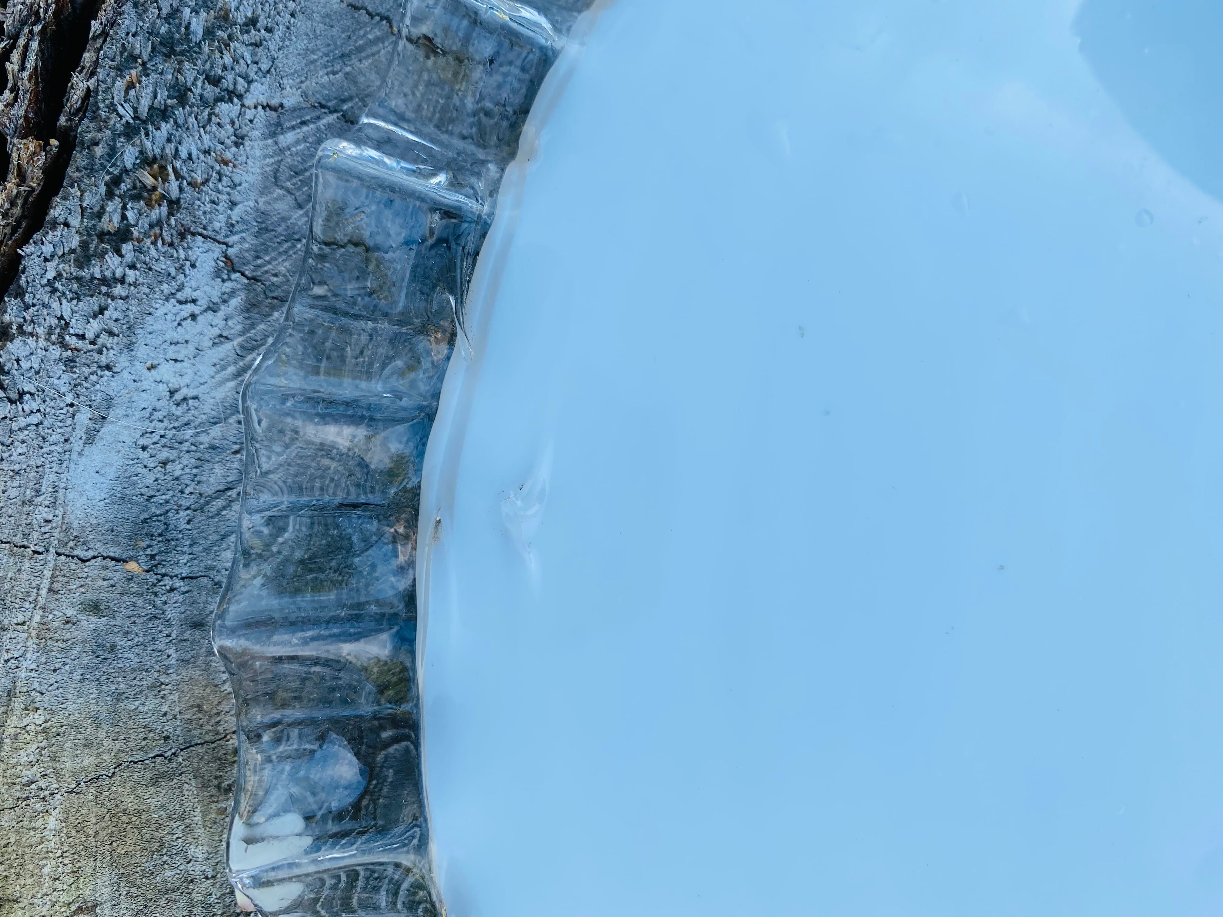 Toothed opaline suspension