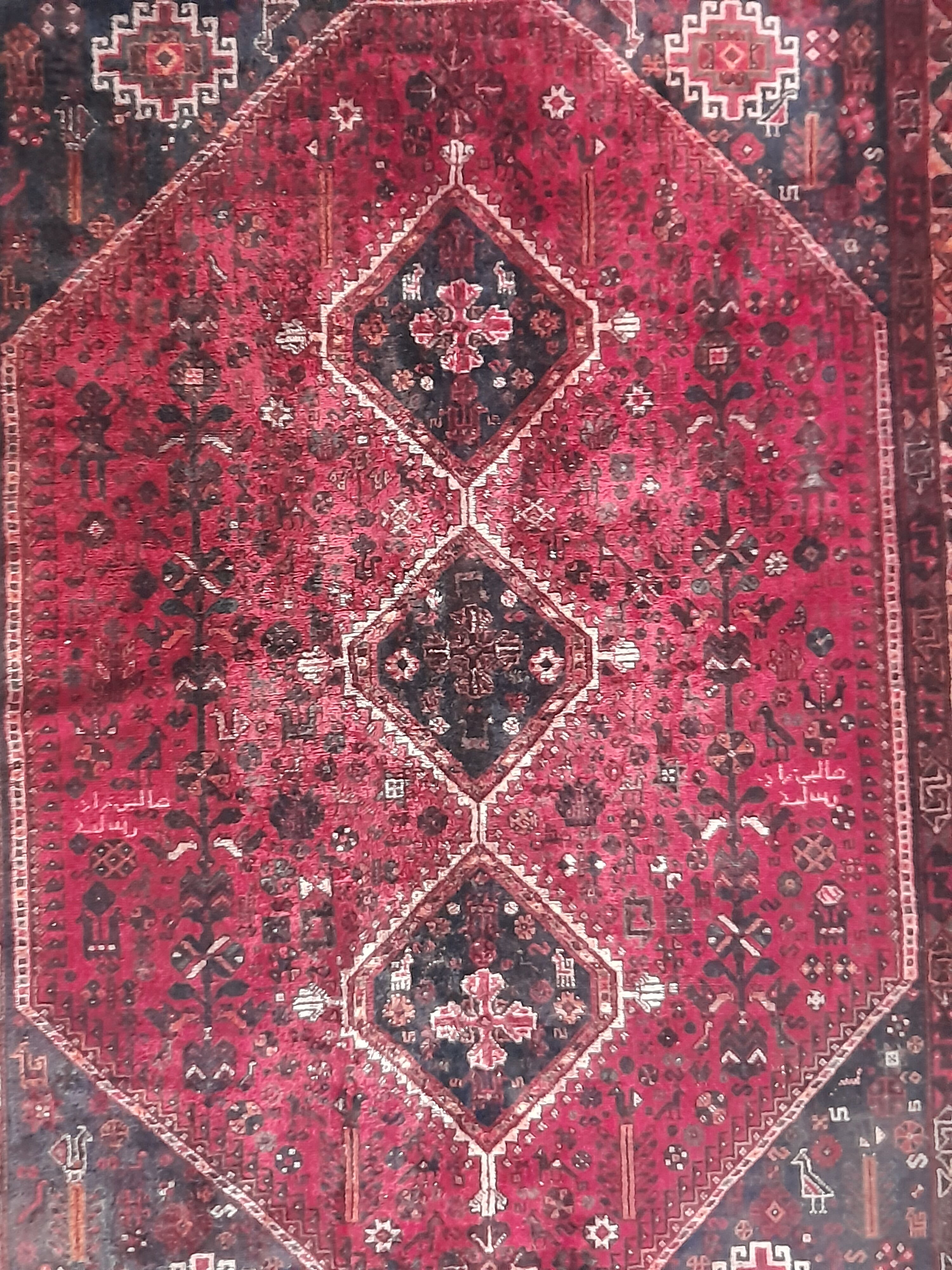 Shiraz carpet 295x215cm