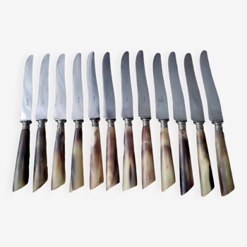 Box of 12 old cheese or dessert knives in steel and bovine horn