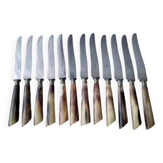 Box of 12 old cheese or dessert knives in steel and bovine horn