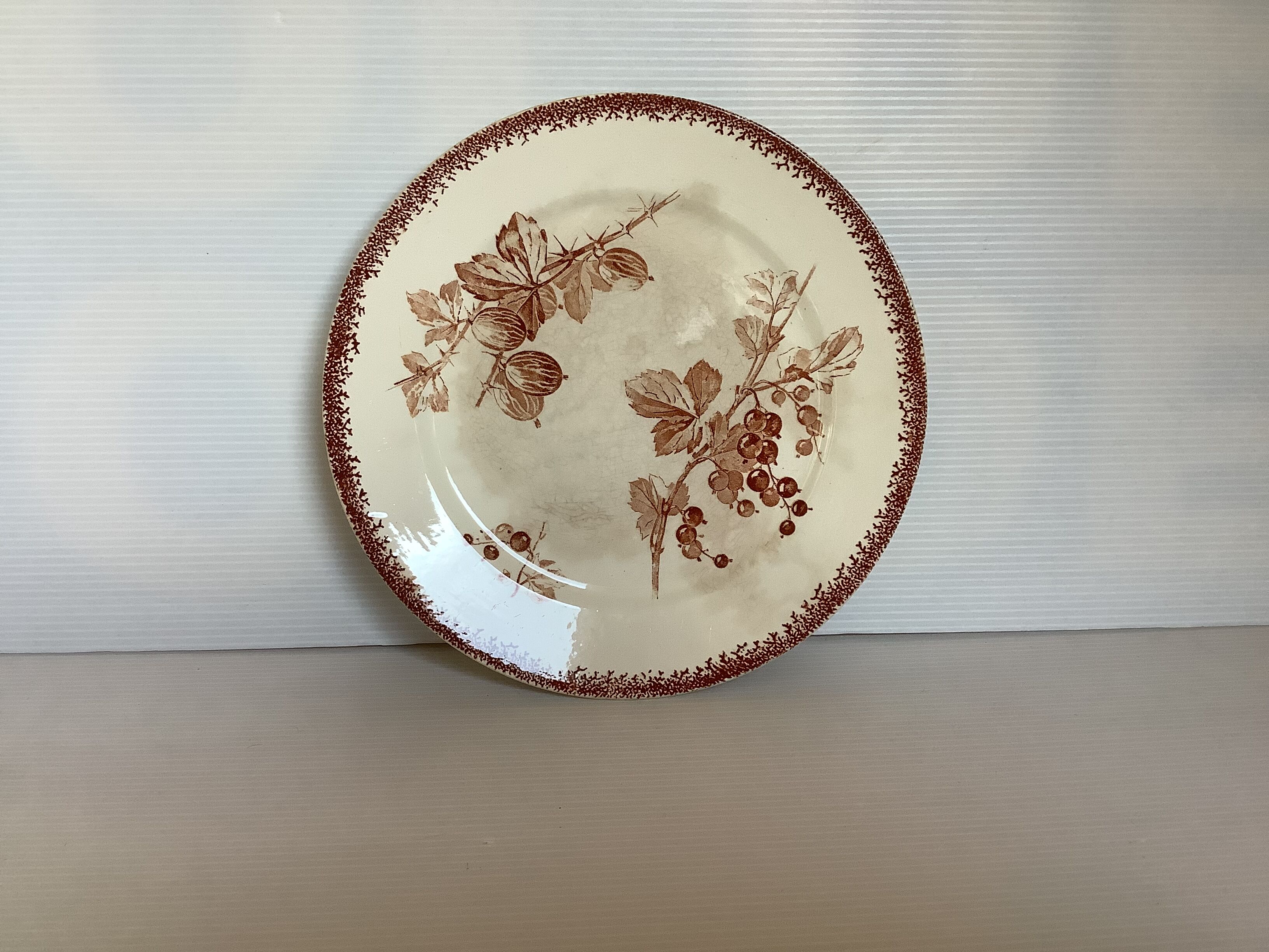 Old earthenware plate model gooseberries sarreguemines