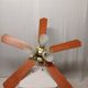 Ceiling fan
