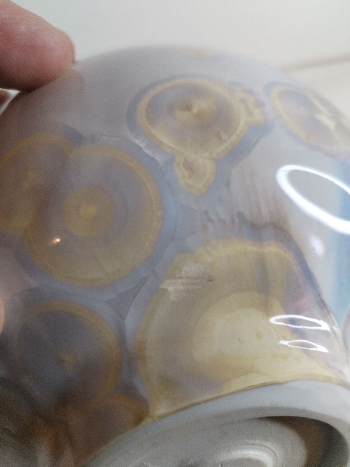 Mattjieu Lievois crystallised ceramic vase