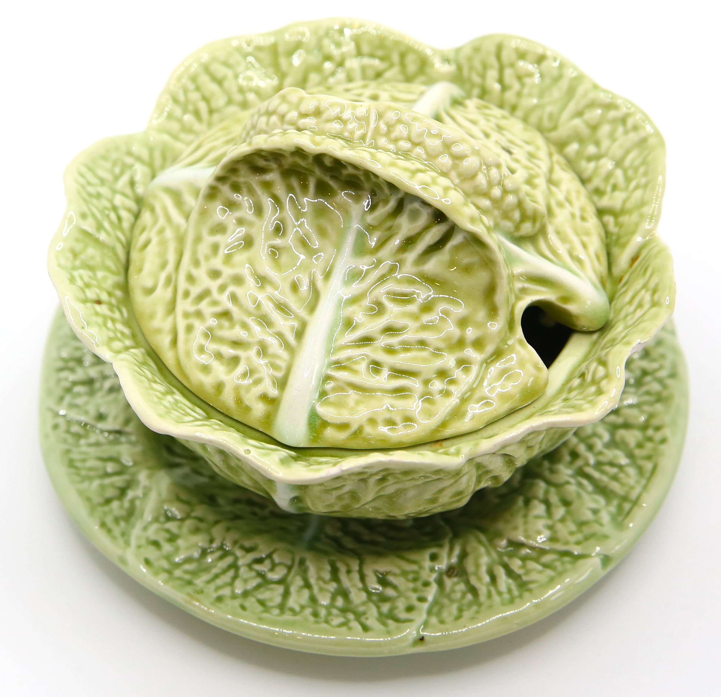 Mustard bush slurry light green cabbage leaf