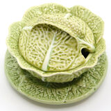 Mustard bush slurry light green cabbage leaf