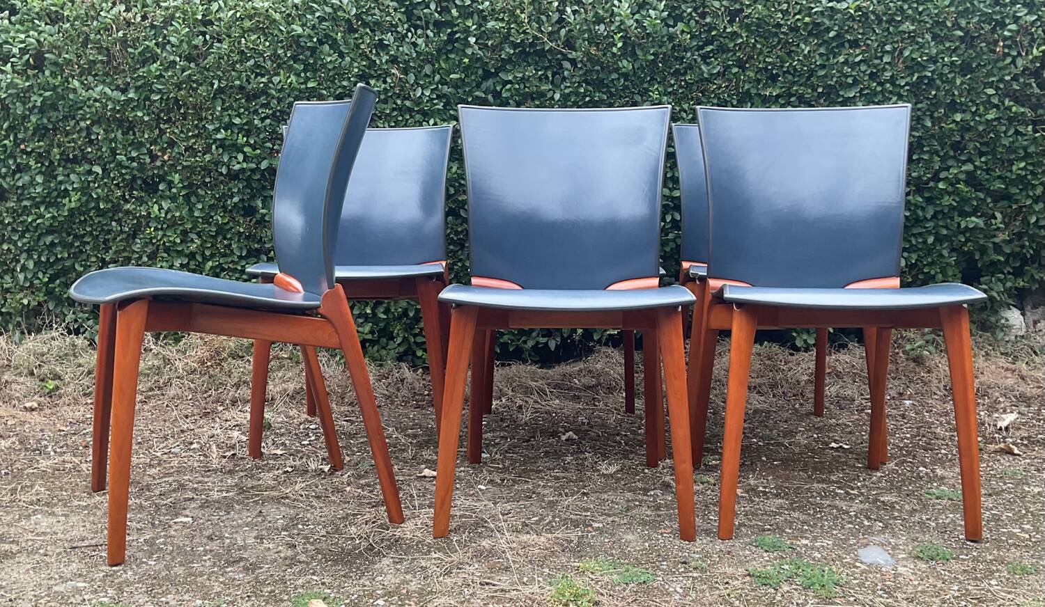 Série de 6 chaises Cassina par Josep Llusca
