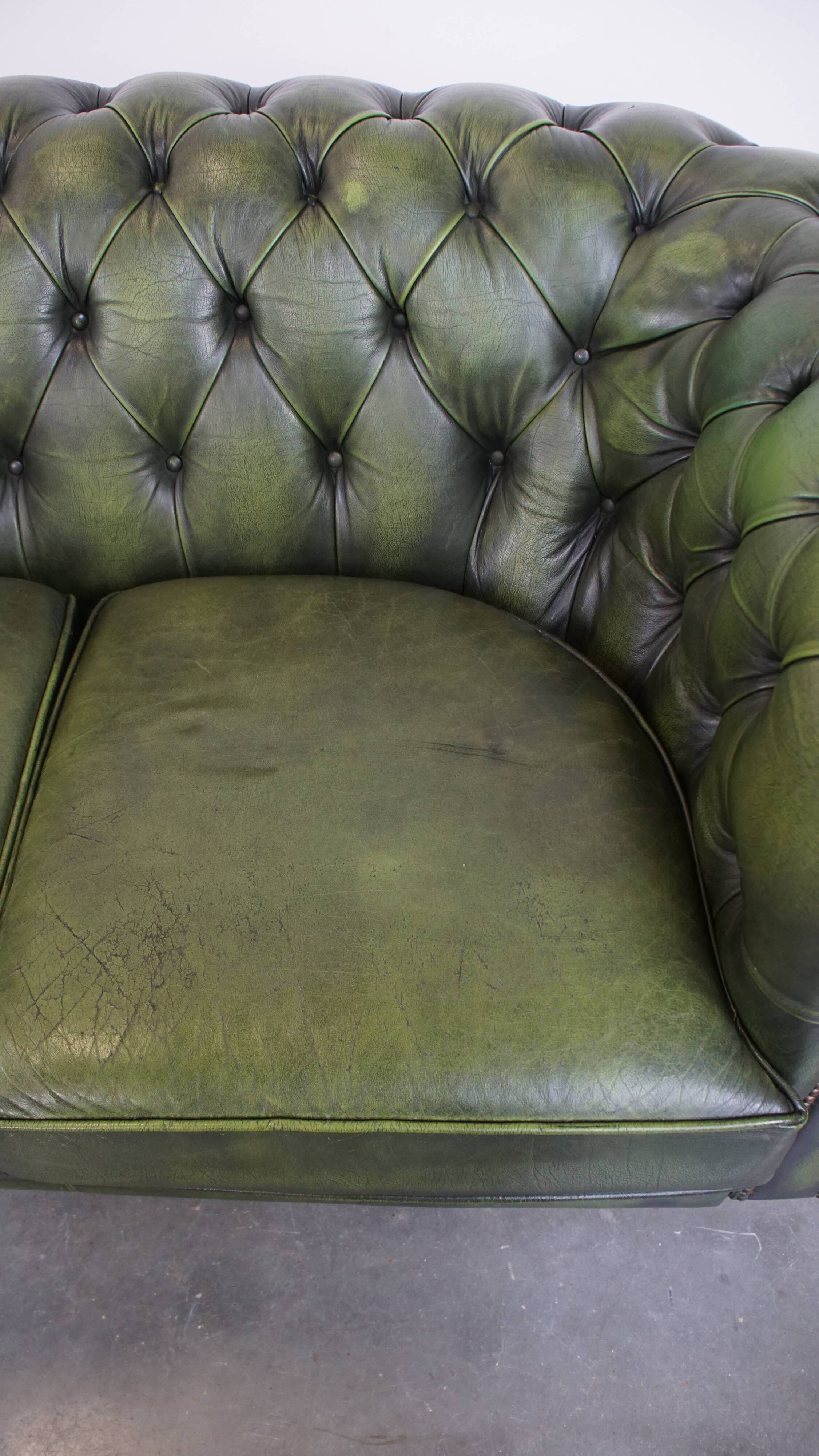 English Chesterfield 2-seater sofa in green cowhide leather