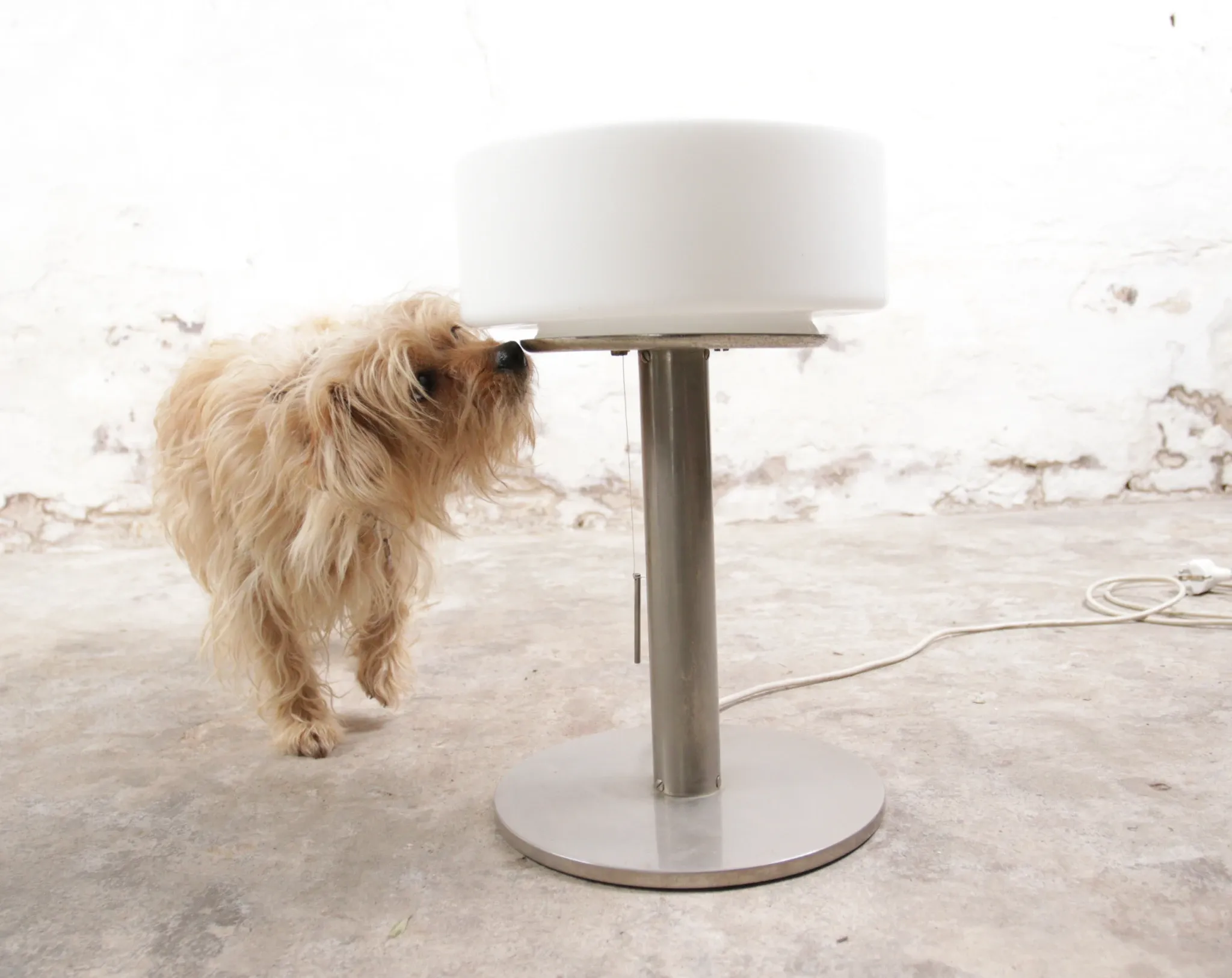 Temde table lamp with opaline glass shade and stainless steel base – 1970s