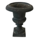 Medici Pot