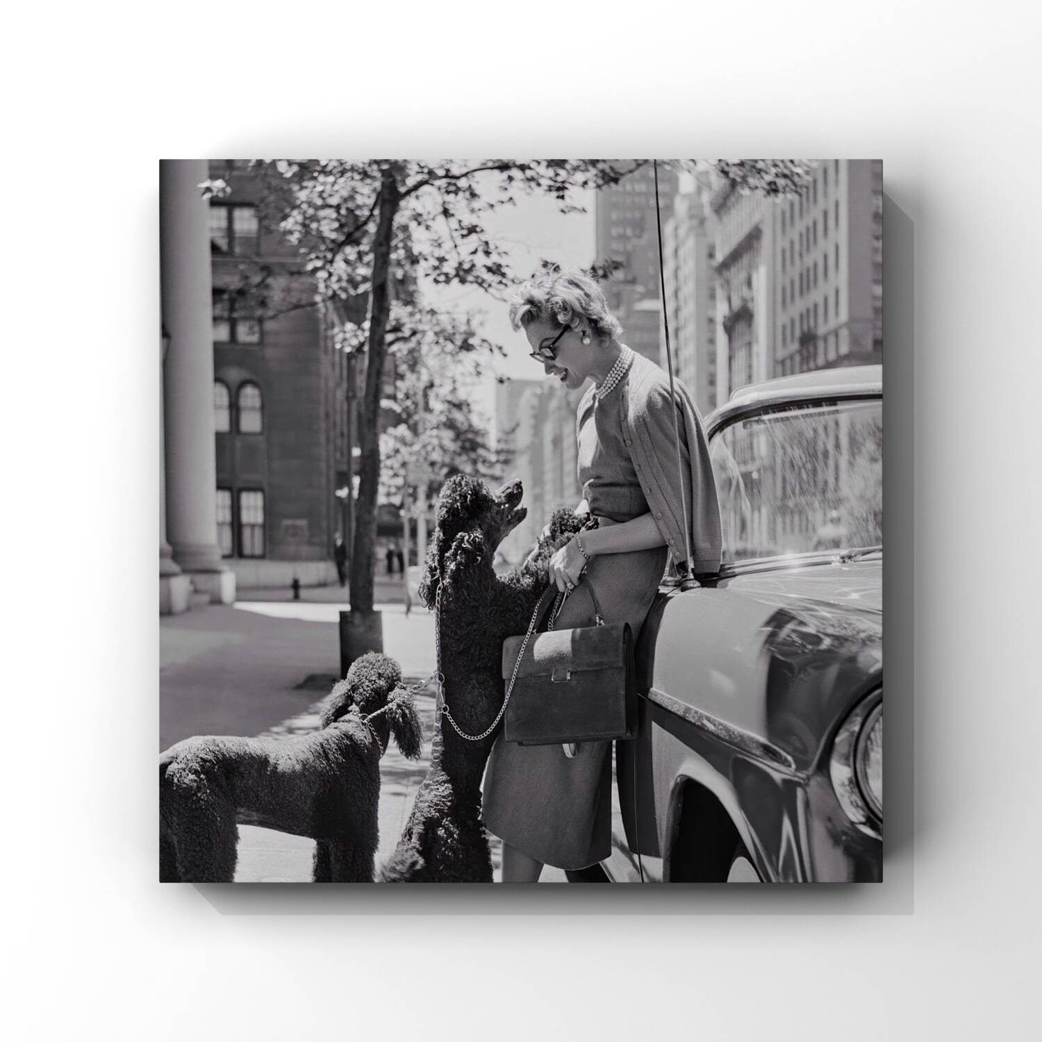 Inga Lindgren And Poodles, 1956