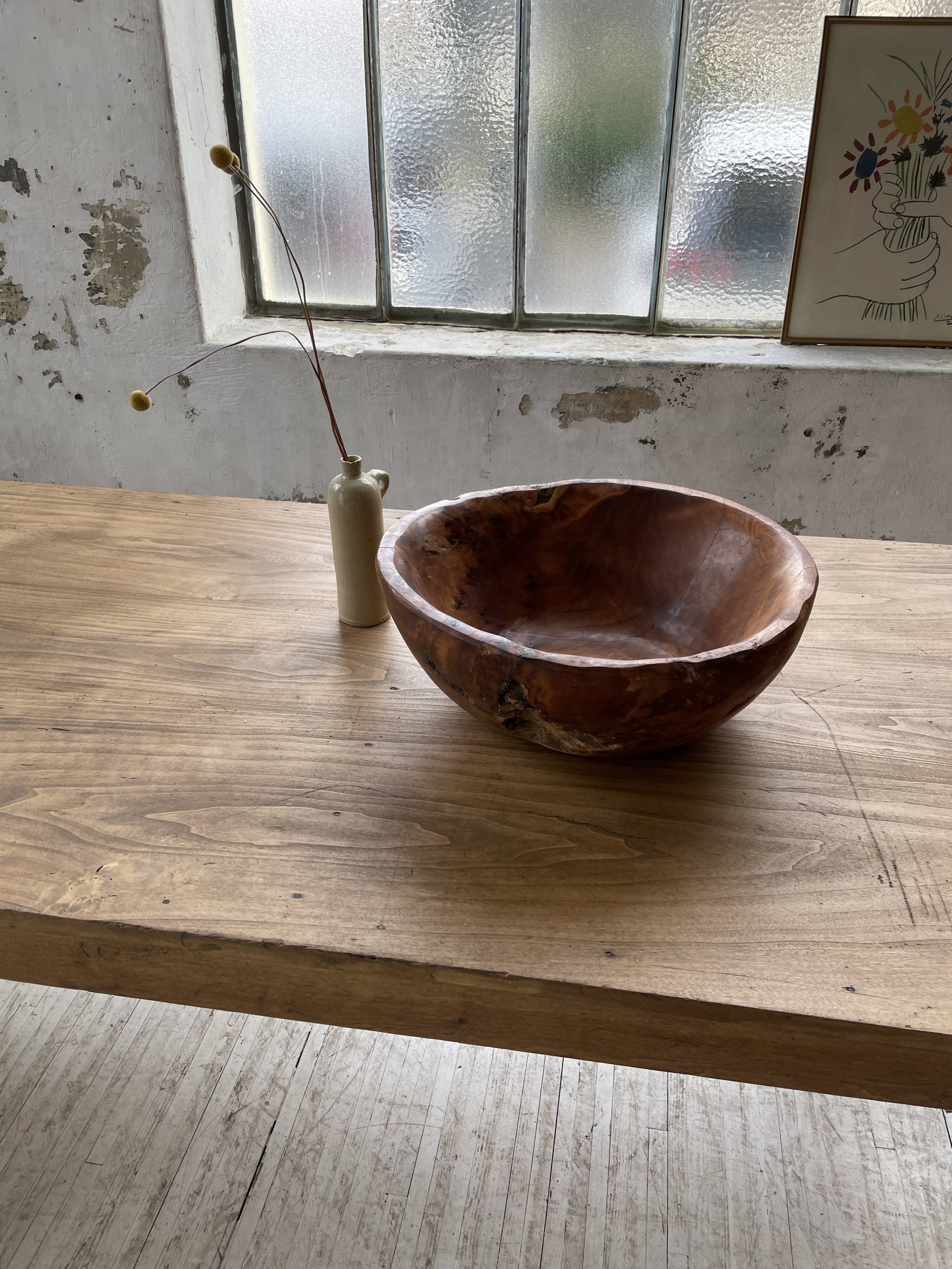 XL thuja root wooden dish